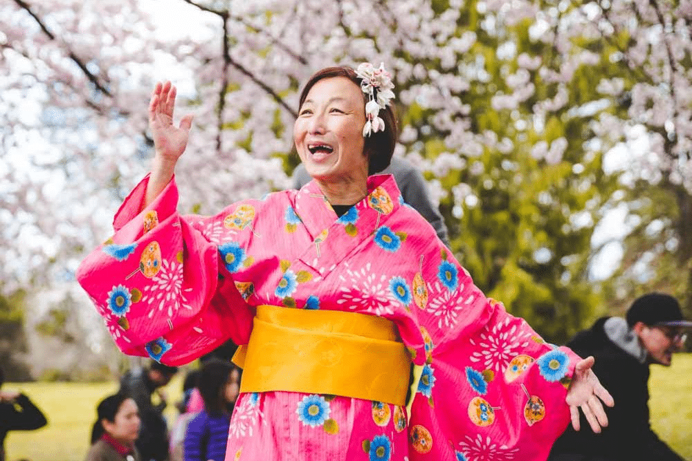 Vancouver Cherry Blossom Festival Announces 2022 Launch and Events - BC Parent Newsmagazine