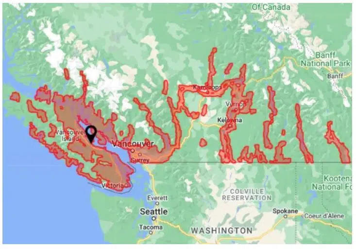 Important! Top 10 hiding places for ticks and where to look! - BC Parent Newsmagazine