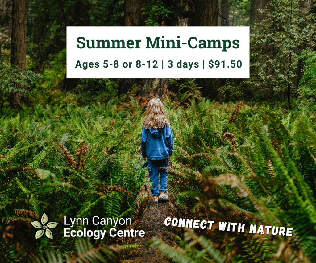 SPACES FILLING FAST IN THESE 15 AWESOME SUMMER CAMPS PICKS FOR BC PARENT! - BC Parent Newsmagazine