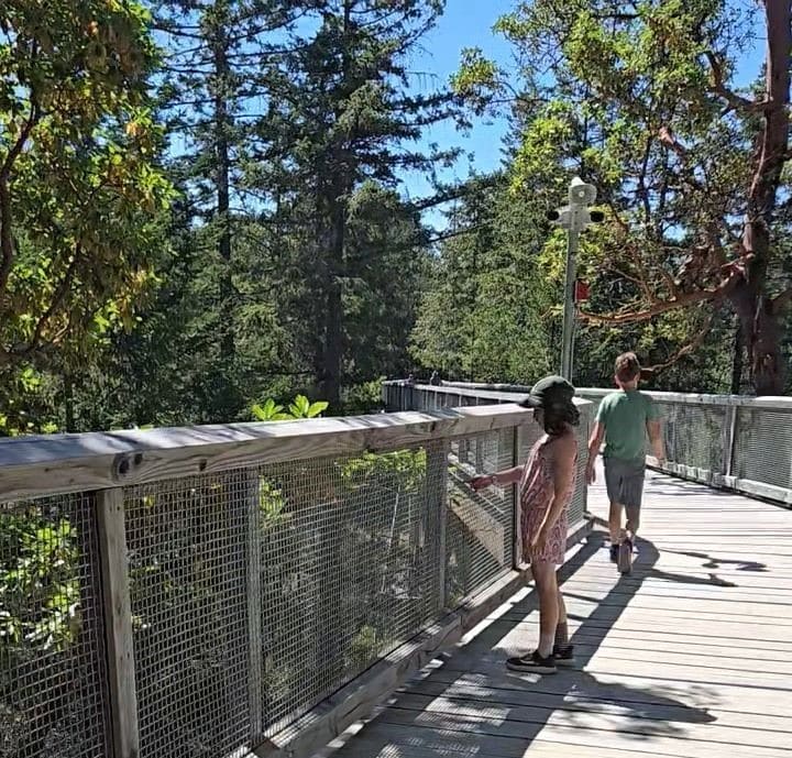 Malahat Skywalk outside Victoria