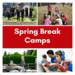 Spring Break Camp