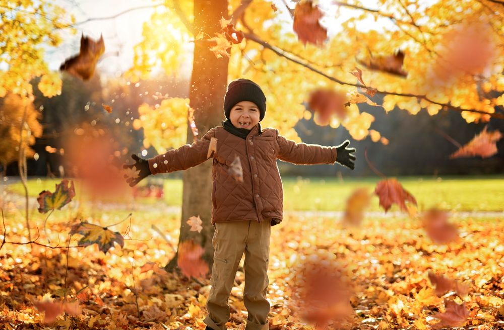 Boy playing in yellow leaves.
