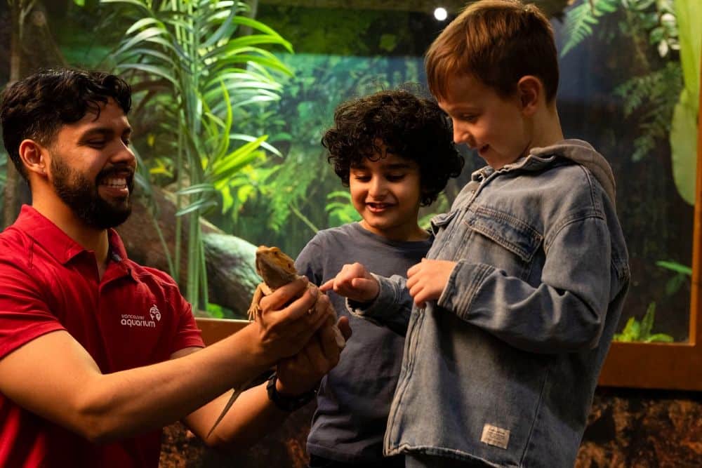 How to Choose the Right Summer Camp for Your Child’s Personality - BC Parent Newsmagazine