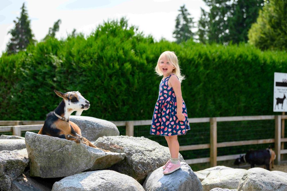 Maplewood Farm girl with a goat