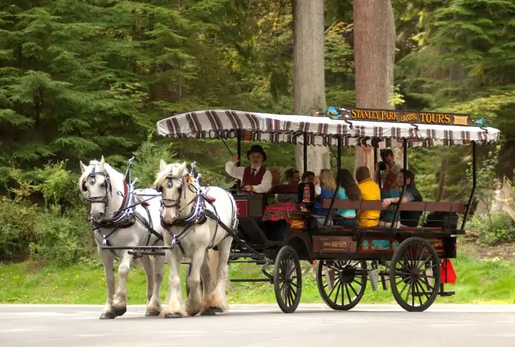 Adventure, Stanley Park Horse-Drawn Tours