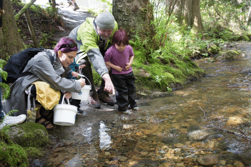 I Spy: Wild Salmon Coming Home - BC Parent Newsmagazine