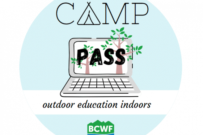 Camp-Pass-1b-no-background.png